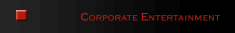 公司娛樂節目         Corporate Entertainment