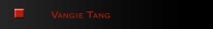 鄧潁芝    Vangie Tang